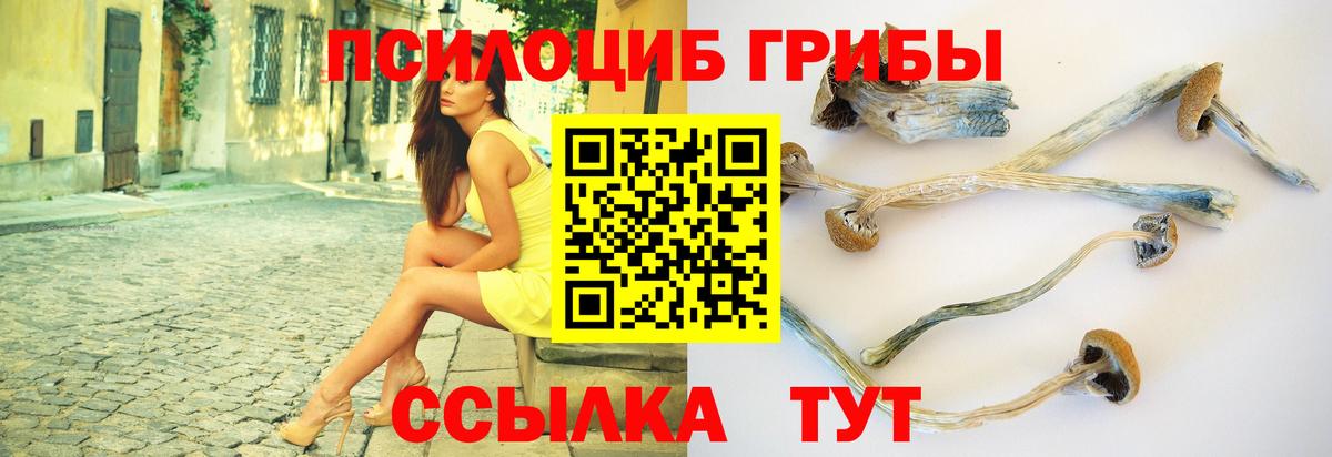 Тольятти  Галлюциногенные грибы Psilocybine cubensis  Вход с VPN  Псилоцибиновые грибы прущие грибы 